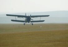 КЕЛЕС АУДАНЫНДА 90 МЫҢ ГЕКТАРДАН АСТАМ АУМАҚ МАРОККО ШЕГІРТКЕСІНЕ ҚАРСЫ ДӘРІЛЕНДІ