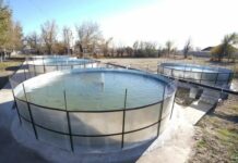 Түркістан облысында балық өсірумен айналысатын 200 шаруашылық бар
