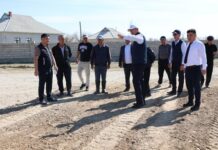 Сауранда өңірдің әлеуметтік-экономикалық дамуын жеделдетуге бағытталған жобалар жүргізілуде