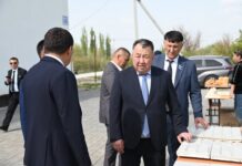 Созақ – Жартытөбедегі кәсіпкерлік бастамалар ауыл экономикасының жаңа құрылымын қалыптастыруда