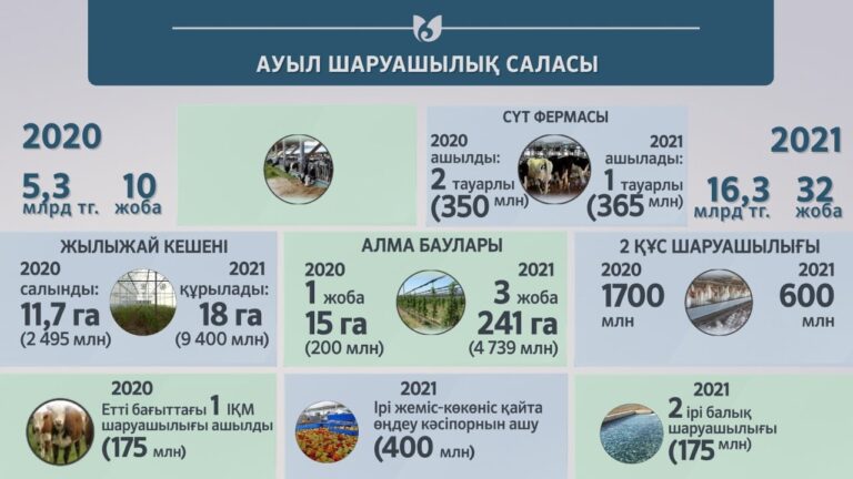 Шымкентте ауылшаруашылық саласында 16 млрд теңгеге 32 жоба іске асырылады