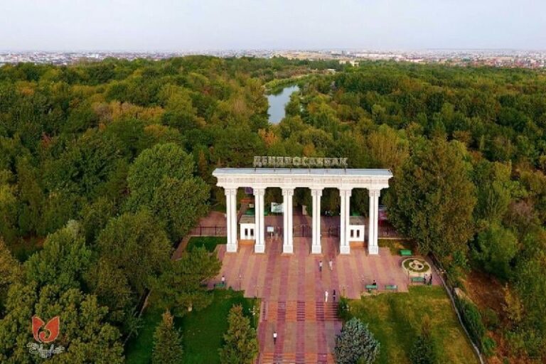 Шымкент дендросаябағы 150-ге жуық жаңа ағаш түрімен толығады