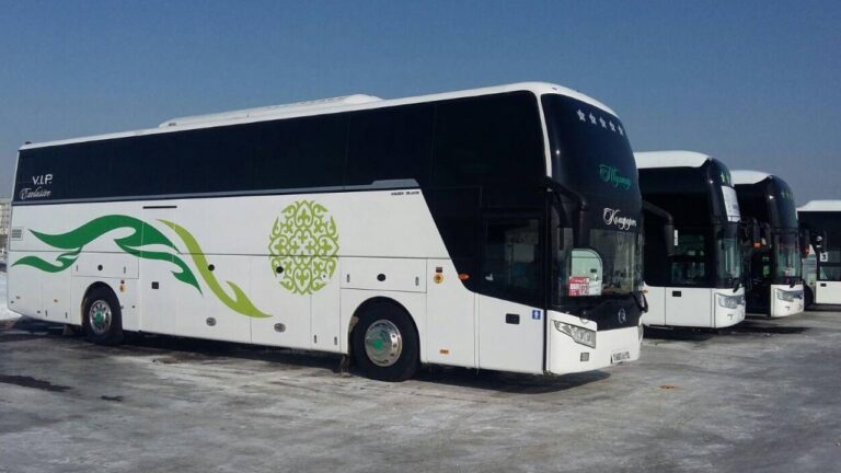 Шымкенттен Сарыағаш курорттық аймағына автобус қатынайды