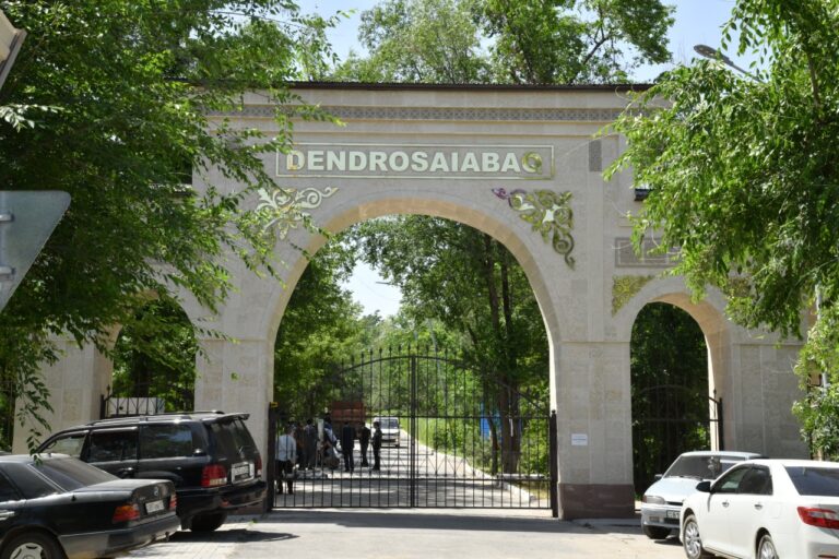 Тәуелсіздіктің 30 жылдығына орай ашылған аллея дендросаябаққа сән беріп тұр