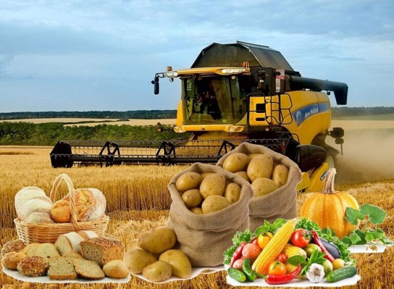 Шымкентте ауыл шаруашылығы саласында ауқымды істер бар
