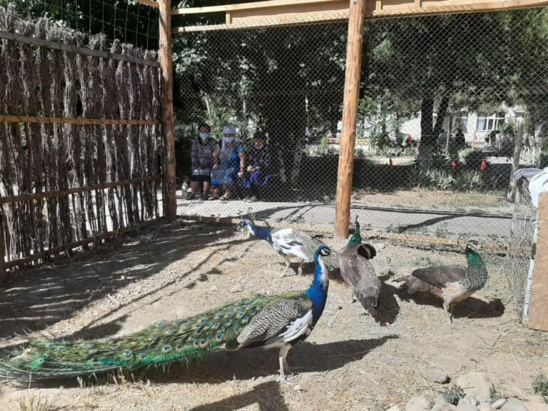 ӘЛЕУМЕТТІК БЕЙІМДЕУ ОРТАЛЫҒЫНДА «ХАЙУАНАТТАР БАҒЫ» БҰРЫШЫ АШЫЛДЫ<br />
<b>Deprecated</b>: strip_tags(): Passing null to parameter #1 ($string) of type string is deprecated in <b>/var/www/vhosts/aptanews.kz/aptamedia.kz/wp-content/themes/Newspaper/loop-single.php</b> on line <b>64</b><br />
ӘЛЕУМЕТТІК БЕЙІМДЕУ ОРТАЛЫҒЫНДА «ХАЙУАНАТТАР БАҒЫ» БҰРЫШЫ АШЫЛДЫ