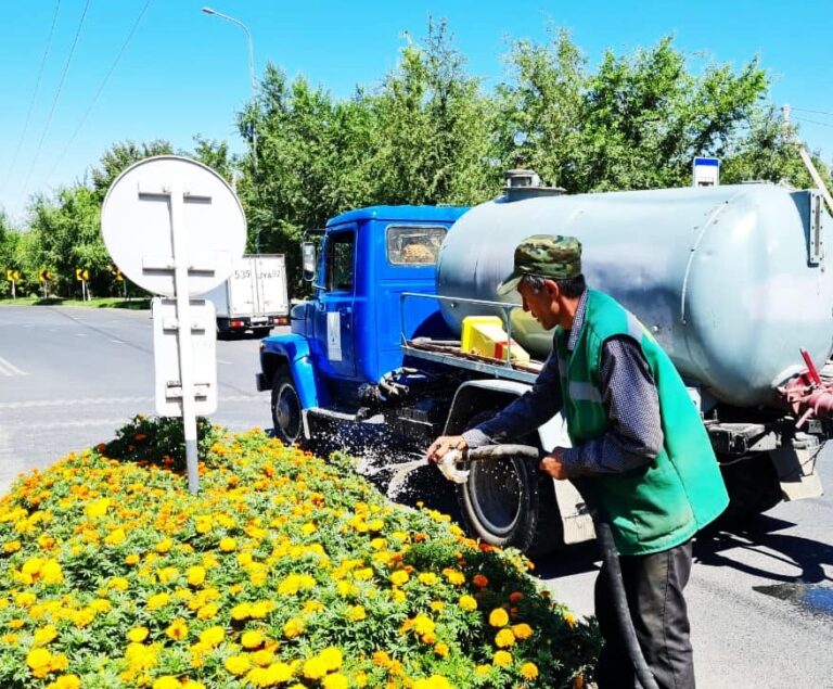 ҚАРАТАУ АУДАНЫНДА 5 МЫҢ ШАРШЫ МЕТР АУМАҚҚА ГҮЛ ОТЫРҒЫЗЫЛДЫ