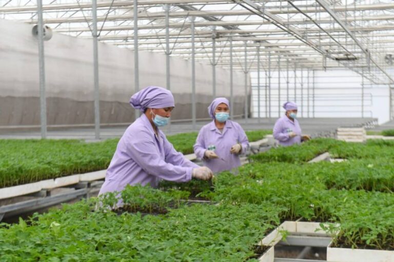 ТҮРКІСТАН ОБЛЫСЫНДА «ЕҢБЕК» БАҒДАРЛАМАСЫМЕН 102 609 АДАМ ЖҰМЫСПЕН ҚАМТЫЛДЫ