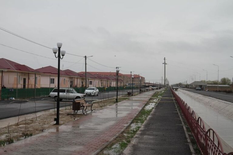 ТҮРКІСТАН: ЕКІ АУДАНДАҒЫ ЖАҒДАЙ ТҰРАҚТЫ БАҚЫЛАУДА
