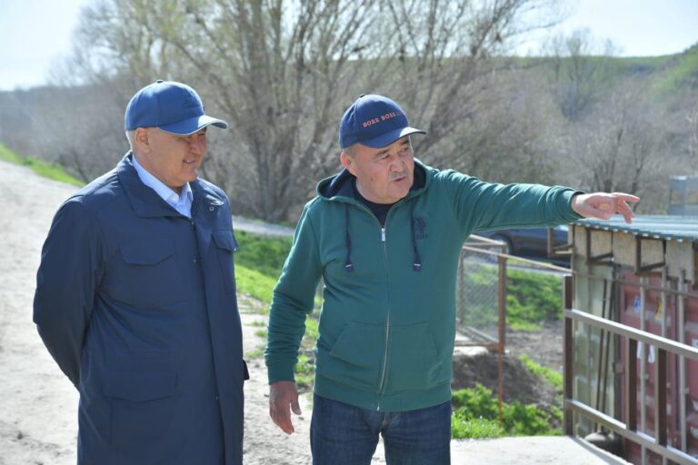 ТҮРКІСТАН ОБЛЫСЫНДА 100-ДЕН АСТАМ ӨЗЕН-КӨЛДЕ БАЛЫҚ ӨСІРІЛЕДІ