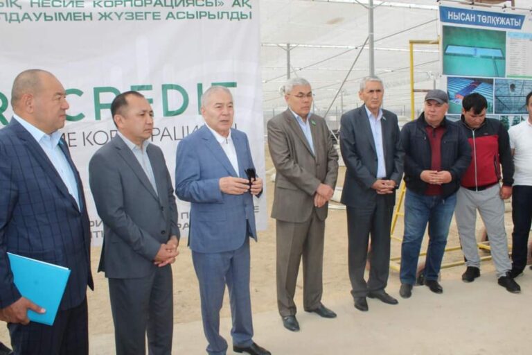 «AMANAT»: ҚАЗЫҒҰРТ ТҰРҒЫНДАРЫ РЕФЕРЕНДУМДЫ ҚЫЗУ ҚОЛДАП ОТЫР