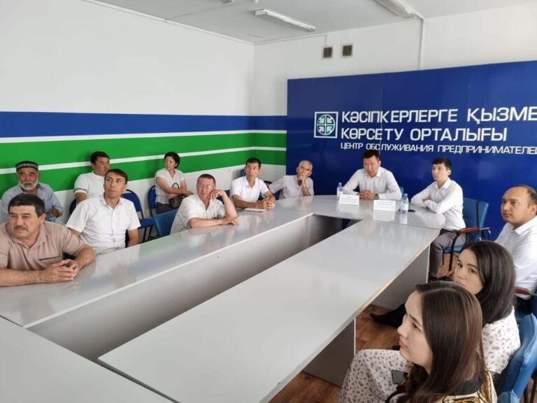 ТҮРКІСТАН: КӘСІПКЕРЛІК ШЫҒЫНДАРЫН ӨТЕУ БОЙЫНША МЕМЛЕКЕТТІК ҚОЛДАУ КҮШЕЙТІЛДІ