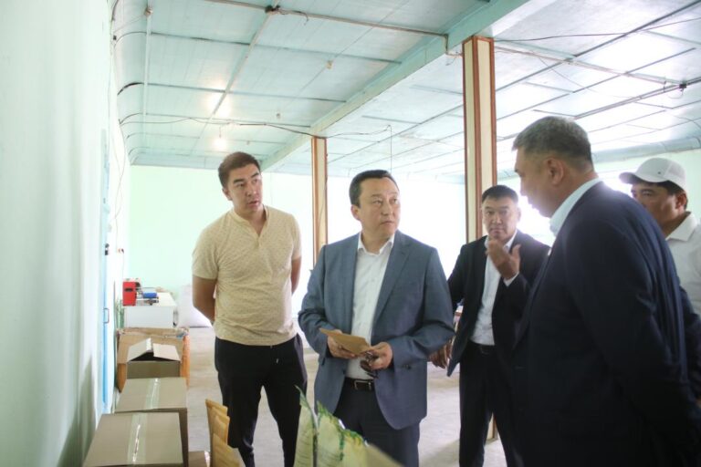 ТҮРКІСТАН: ТӨЛЕБИ АУДАНЫНДА ФАСОВКАЛАНҒАН ҚҰРҒАҚ ШАЙ ШЫҒАРЫЛУДА