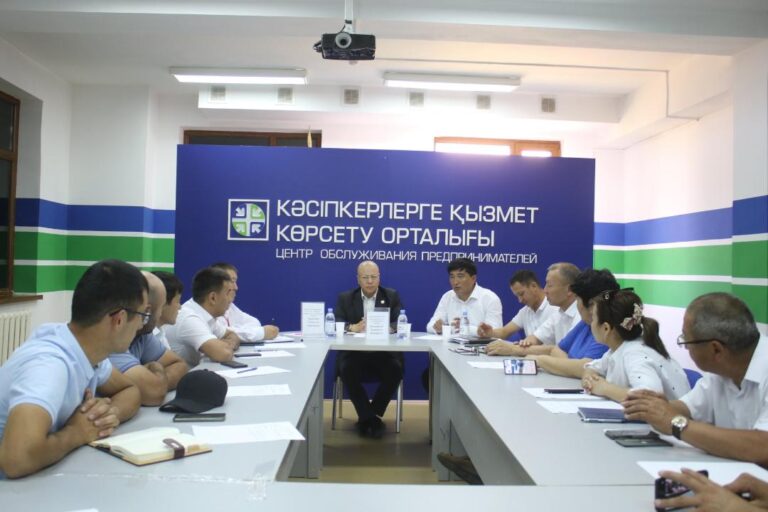 ТҮРКІСТАН: ТӨЛЕБИ АУДАНЫНДА ШАҒЫН ЖӘНЕ ОРТА КӘСІПКЕРЛІК МӘСЕЛЕЛЕРІ ТАЛҚЫЛАНДЫ
