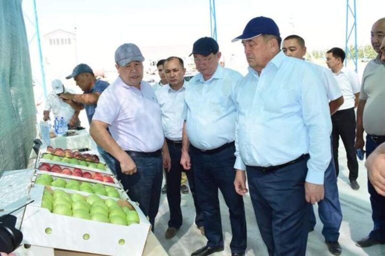 ТҮРКІСТАН: СЕНАТОРЛАР ҚАЗЫҒҰРТТЫҚ ШАРУАЛАРДЫҢ ЖҰМЫСТАРЫН ОҢ БАҒАЛАДЫ