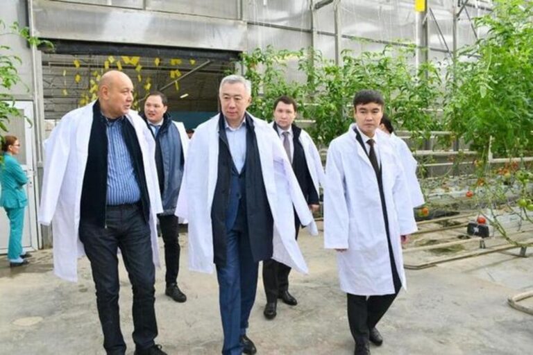 ВИЦЕ-ПРЕМЬЕР ТҮРКІСТАН ОБЛЫСЫНДАҒЫ ЖЫЛЫЖАЙ ЖҰМЫСЫМЕН ТАНЫСТЫ