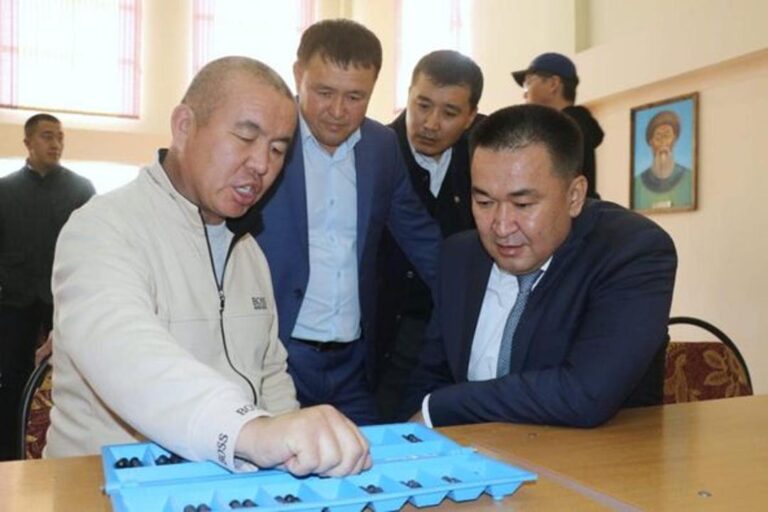 ТҮРКІСТАН ОБЛЫСЫНДА ТОҒЫЗҚҰМАЛАҚТАН ХАЛЫҚАРАЛЫҚ ЖАРЫС ӨТІП ЖАТЫР