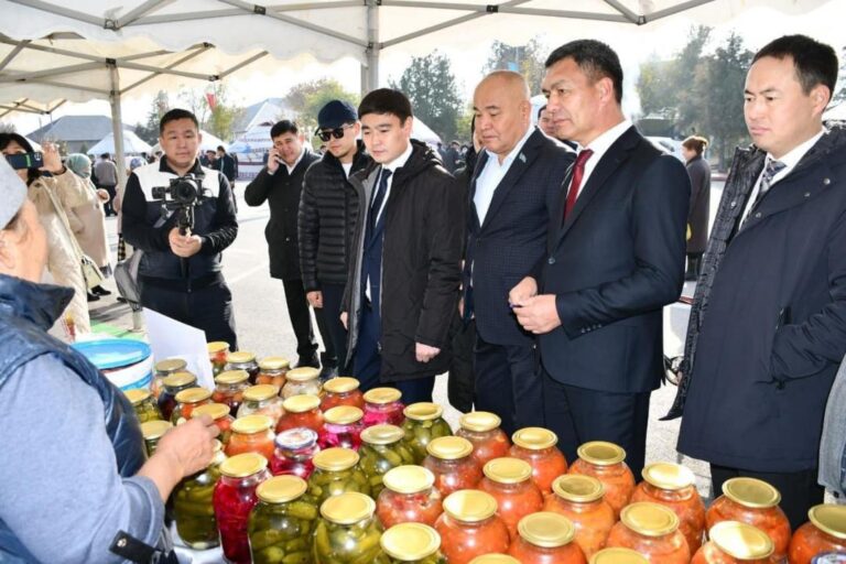 ТУРКЕСТАН: В ОРДАБАСЫ ОБЪЕМ ПРОДУКЦИИ В СЕЛЬСКОИ ХОЗЯЙСТВЕ ВЫРОС НА 3 МЛРД ТЕНГЕ