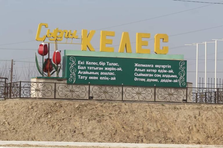 Келес ауданының ауыл шаруашылығы өркендеп келеді