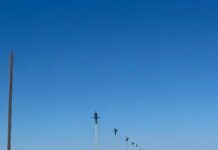ТҮРКІСТАН: СОЗАҚ АУДАНЫНДА БОРАН САЛДАРЫНАН ҚҰЛАҒАН ЭЛЕКТР БАҒАНАЛАРЫ ТОЛЫҚ ҚАЛПЫНА КЕЛТІРІЛДІ
