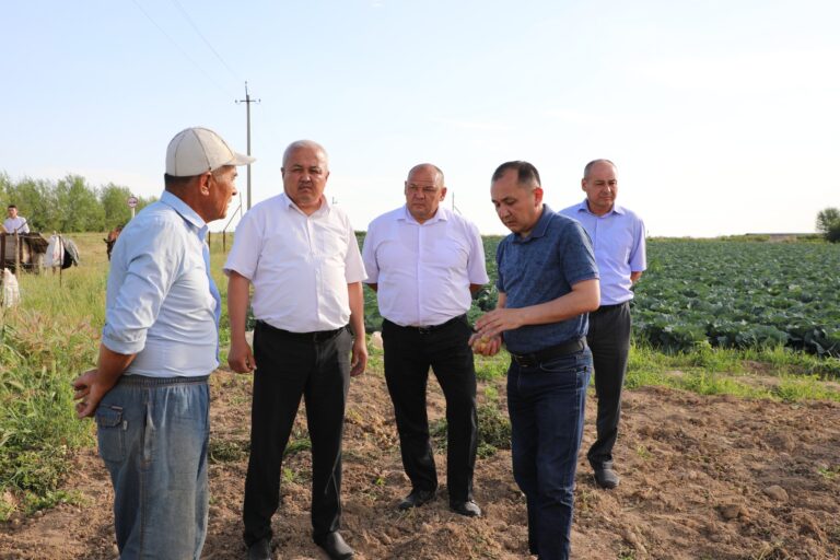 САРЫАҒАШ АУДАНЫНЫҢ ӘКІМІ ШАРУАҚОЖАЛЫҚТЫҢ ЖҰМЫСЫМЕН ТАНЫСТЫ