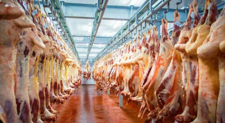 ҚАЗАҚСТАН ЭКСПОРТТАЙТЫН ІРІ ҚАРА ЕТІНІҢ 85 ПАЙЫЗЫ ТҮРКІСТАН ОБЛЫСЫНДА ӨНДІРІЛЕДІ