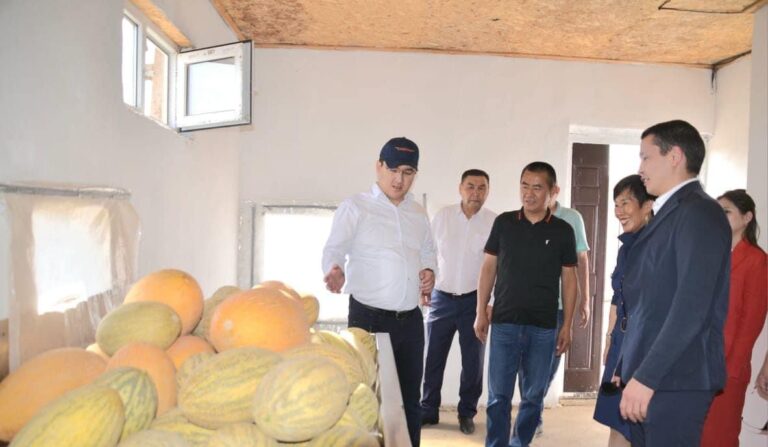 ТҮРКІСТАН: ҚЫТАЙЛЫҚ КОМПАНИЯ ЖЕТІСАЙҒА ИНВЕСТИЦИЯ САЛУҒА НИЕТТІ