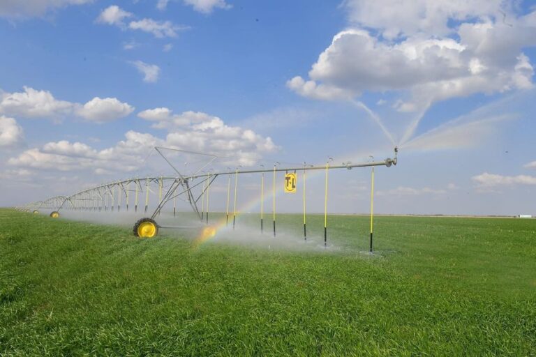 ТҮРКІСТАН: АУЫЛ ШАРУАШЫЛЫҒЫ САЛАСЫНДА 329,1 МЛРД. ТЕҢГЕНІ ҚҰРАЙТЫН 110 ИНВЕСТИЦИЯЛЫҚ ЖОБА ІСКЕ АСАДЫ