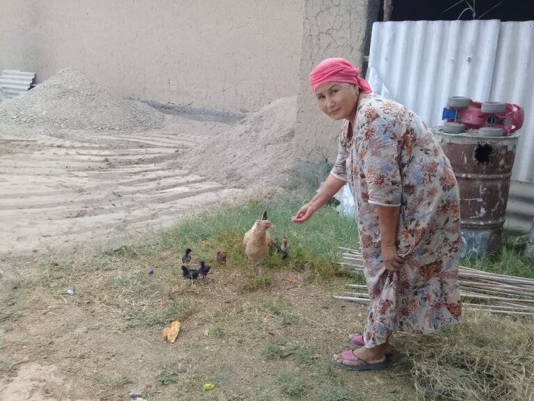 Түркістан: Тауық өсіріп, табыс тауып отыр