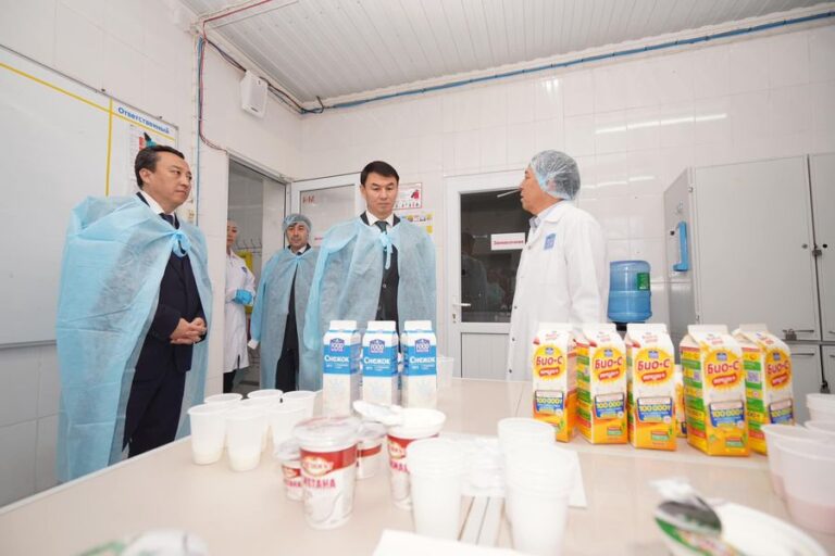 ТҮРКІСТАН: ТӨЛЕБИДЕГІ КӘСІПОРЫН ЗАМАНАУИ ТЕХНОЛОГИЯ АРҚЫЛЫ СҮТ ӨНІМДЕРІН ШЫҒАРУДА