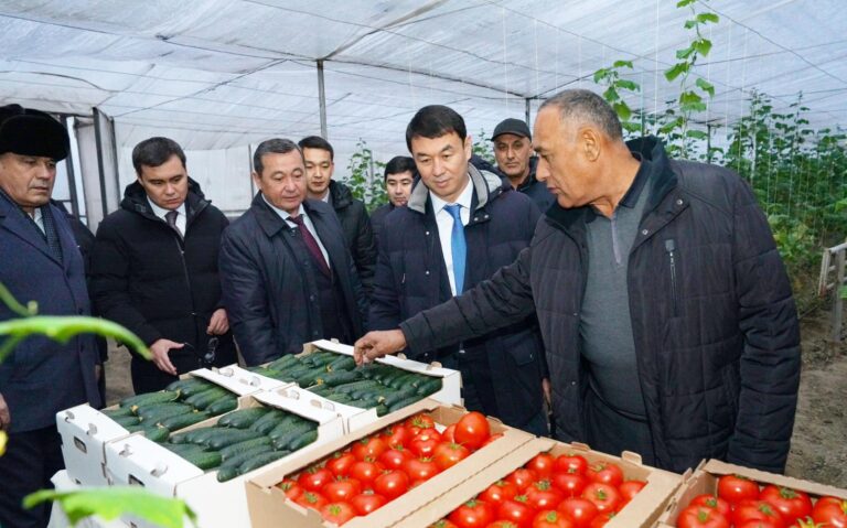 ТҮРКІСТАН: МАҚТААРАЛДА ЖЫЛЫЖАЙ ШАРУАШЫЛЫҒЫ ДАМЫП КЕЛЕДІ
