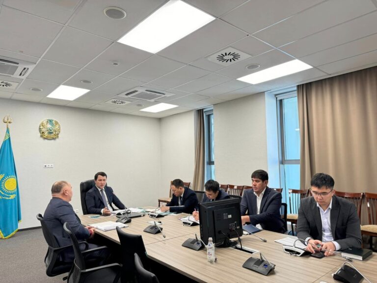 ТҮРКІСТАН ОБЛЫСЫНДА ЖІБЕК ӨНДІРІСІ ЖАНДАНАДЫ