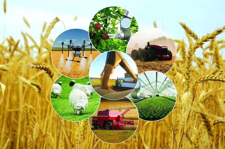 АГРАРЛЫҚ ӨНЕРКӘСІП САЛАСЫНА БАСЫМДЫҚ БЕРІЛУДЕ
