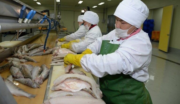 Түркістан облысында балық шаруашылығына қолдау көрсетілуде<br />
<b>Deprecated</b>: strip_tags(): Passing null to parameter #1 ($string) of type string is deprecated in <b>/var/www/vhosts/aptanews.kz/aptamedia.kz/wp-content/themes/Newspaper/loop-single.php</b> on line <b>64</b><br />
Түркістан облысында балық шаруашылығына қолдау көрсетілуде