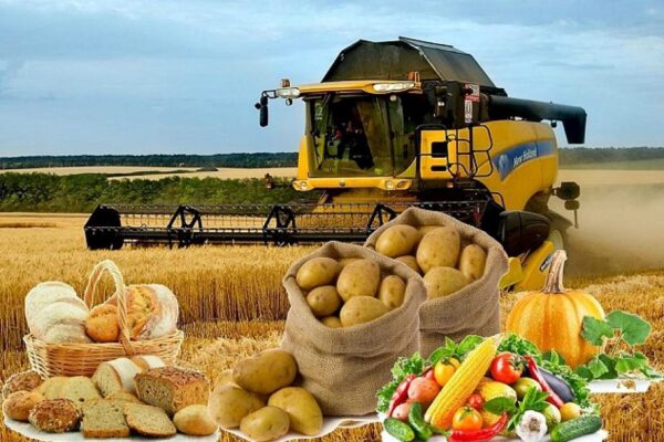 МЕМЛЕКЕТ АГРОӨНЕРКӘСІПТІ ДАМЫТУҒА АЙРЫҚША КӨҢІЛ БӨЛУДЕ<br />
<b>Deprecated</b>: strip_tags(): Passing null to parameter #1 ($string) of type string is deprecated in <b>/var/www/vhosts/aptanews.kz/aptamedia.kz/wp-content/themes/Newspaper/loop-single.php</b> on line <b>64</b><br />
МЕМЛЕКЕТ АГРОӨНЕРКӘСІПТІ ДАМЫТУҒА АЙРЫҚША КӨҢІЛ БӨЛУДЕ
