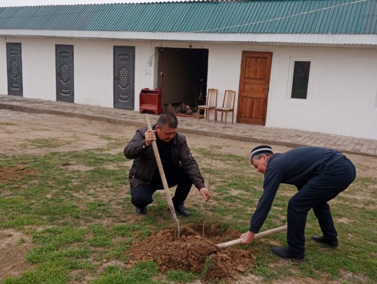 «КИЕЛІ МЕКЕН»: ОРДАБАСЫДА КӨНЕ ИШАНБАЗАР МЕШІТІНІҢ АУМАҒЫНДА КӨГАЛДАНДЫРУ ЖҰМЫСТАРЫ ЖҮРДІ