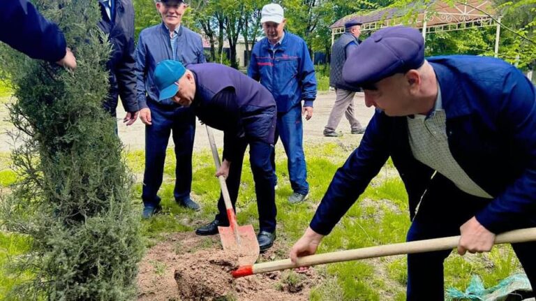 ТҮРКІСТАН ОБЛЫСЫ МӘСЛИХАТЫНЫҢ ТӨРАҒАСЫ ТҰРҒЫНДАРМЕН БІРГЕ ОРДАБАСЫ АУДАНЫНДАҒЫ САЯБАҚҚА КӨШЕТ ОТЫРҒЫЗДЫ