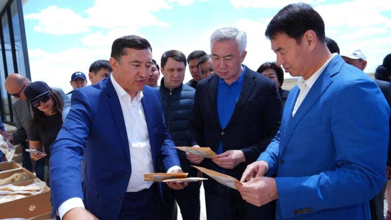 Арыста жаңа технологияны қолдана отырып, мал азығы дақылдарын өсіру жоспарланып отыр