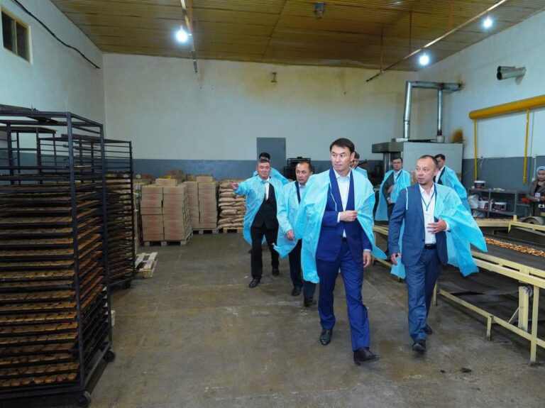 ТҮРКІСТАН: САРЫАҒАШТА КӘСІПКЕРЛІК ДАМЫП КЕЛЕДІ