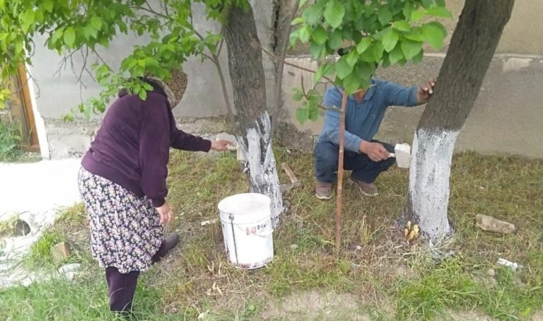 «ӨНЕГЕЛІ ҰРПАҚ»: САЙРАМДА АУЫЛ ТҰРҒЫНДАРЫ ҚАРТ АНАНЫҢ АУЛАСЫН АБАТТАНДЫРУҒА АТСАЛЫСТЫ<br />
<b>Deprecated</b>: strip_tags(): Passing null to parameter #1 ($string) of type string is deprecated in <b>/var/www/vhosts/aptanews.kz/aptamedia.kz/wp-content/themes/Newspaper/loop-single.php</b> on line <b>64</b><br />
«ӨНЕГЕЛІ ҰРПАҚ»: САЙРАМДА АУЫЛ ТҰРҒЫНДАРЫ ҚАРТ АНАНЫҢ АУЛАСЫН АБАТТАНДЫРУҒА АТСАЛЫСТЫ