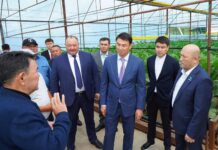 ЖЫЛЫЖАЙЛАР МОЛ ӨНІМ БЕРУДЕ
