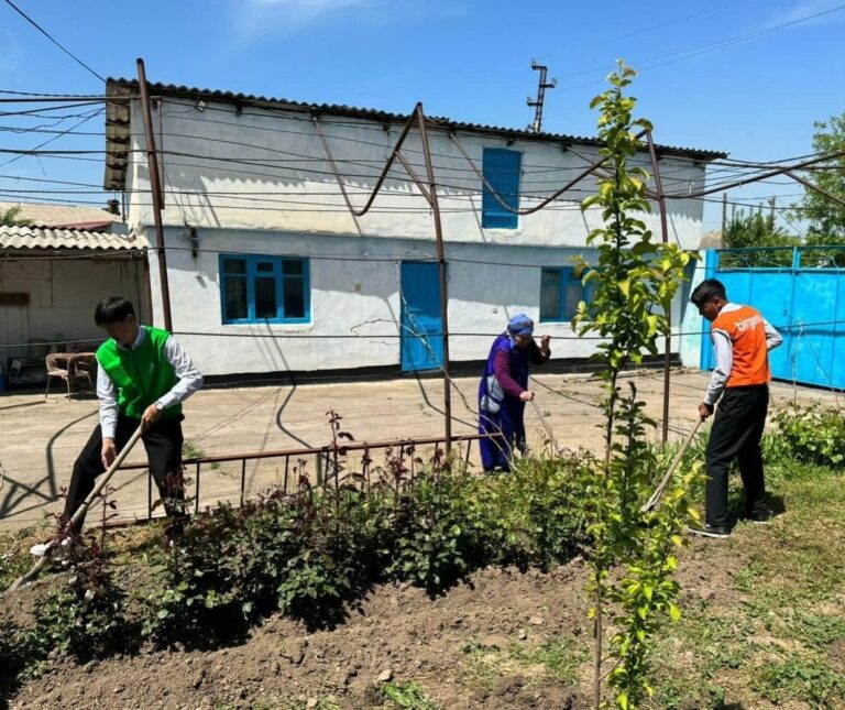 «ӨНЕГЕЛІ ҰРПАҚ»: ТӨЛЕБИ АУДАНЫНДА ЖАЛҒЫЗБАСТЫ ҚАРТТАРДЫҢ ҮЙ АУЛАЛАРЫ ТАЗАЛАНЫП ЖАТЫР