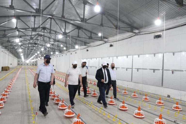 Озық технологиямен жабдықталған фабрика жылына 5 мың тонна құс етін өндіреді