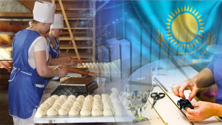 Кәсіпкерлікті дамыту жөніндегі ұлттық жоба қалай іске асып жатыр?