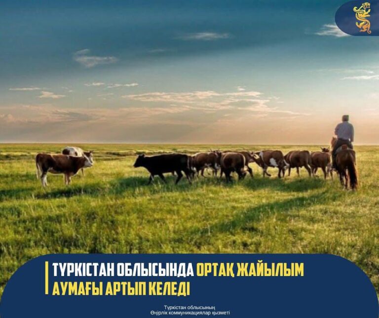 ТҮРКІСТАН ОБЛЫСЫНДА ОРТАҚ ЖАЙЫЛЫМ АУМАҒЫ АРТЫП КЕЛЕДІ