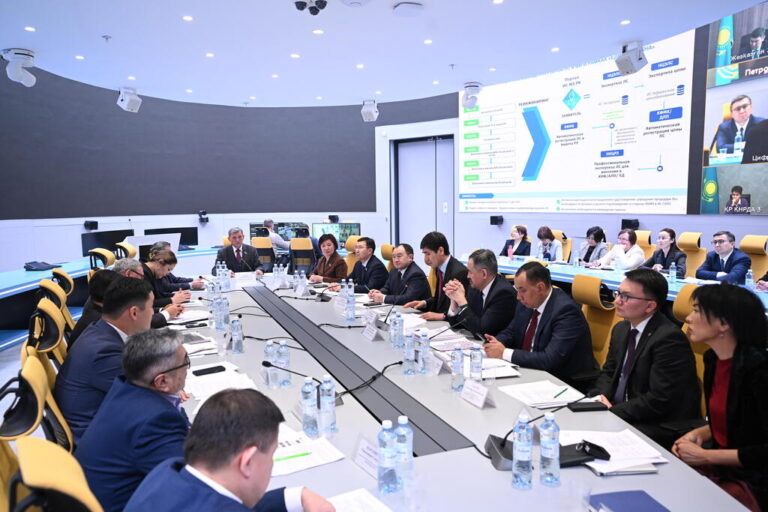 Денсаулық сақтауды цифрландыру: Әділетті Қазақстанға инновация мен қолжетімділік арқылы қадам жасалады