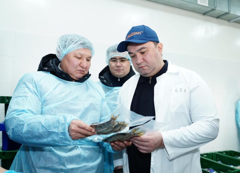 ТҮРКІСТАН: ШАРДАРАДА БАЛЫҚ ЖӘНЕ ЖҮГЕРІ ШАРУАШЫЛЫҒЫ ЖАҢАША БАҒЫТТА ДАМИ ТҮСЕДІ