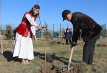 ТҮРКІСТАНДА МЫҢНАН АСА АҒАШ ЕГІЛДІ