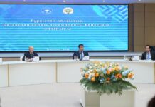 ТҮРКІСТАН: БЕКЕМ БІРЛІК БЕРЕКЕГЕ БАСТАЙДЫ