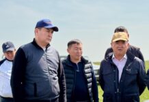 ШҰҒЫЛ ШТАБТЫҢ ТӘУЛІК БОЙҒЫ ЖҰМЫСЫ: ТҮРКІСТАН ОБЛЫСЫ ШЕГІРТКЕГЕ ҚАРСЫ ЖОЮ ЖҰМЫСТАРЫН ЖҮРГІЗУДЕ